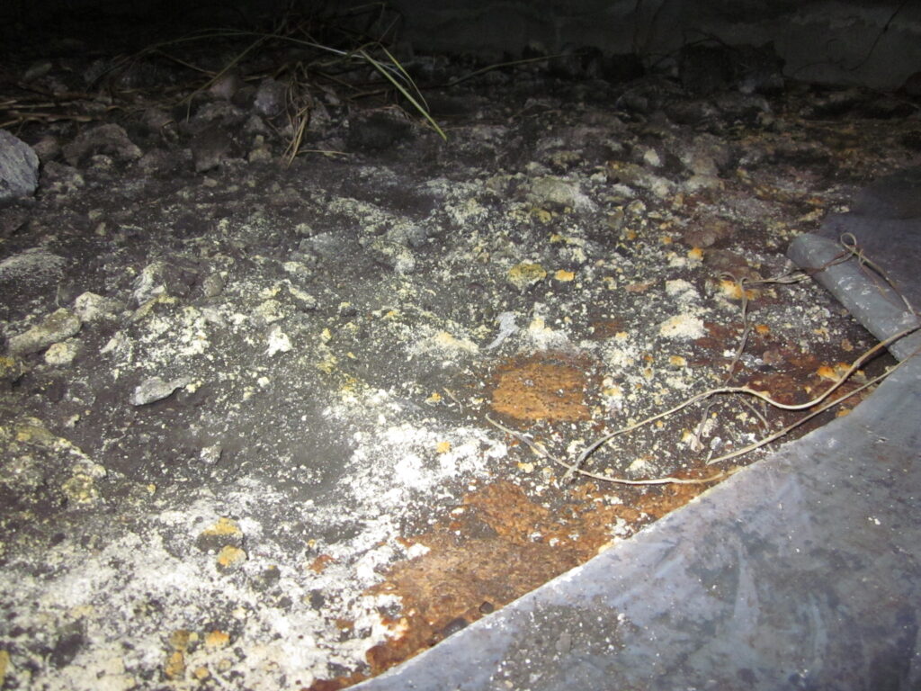 Humid crawlspace