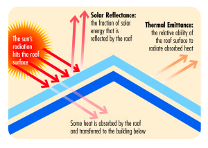 Diagram_1_-_SR_and_TE