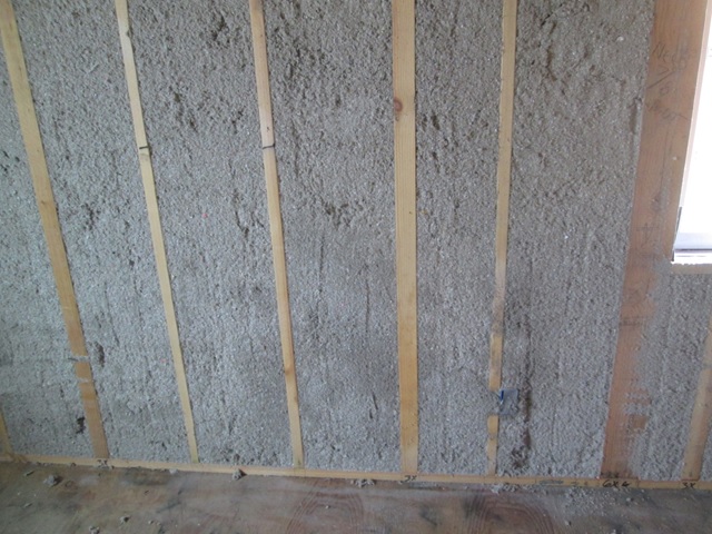 cellulose walls